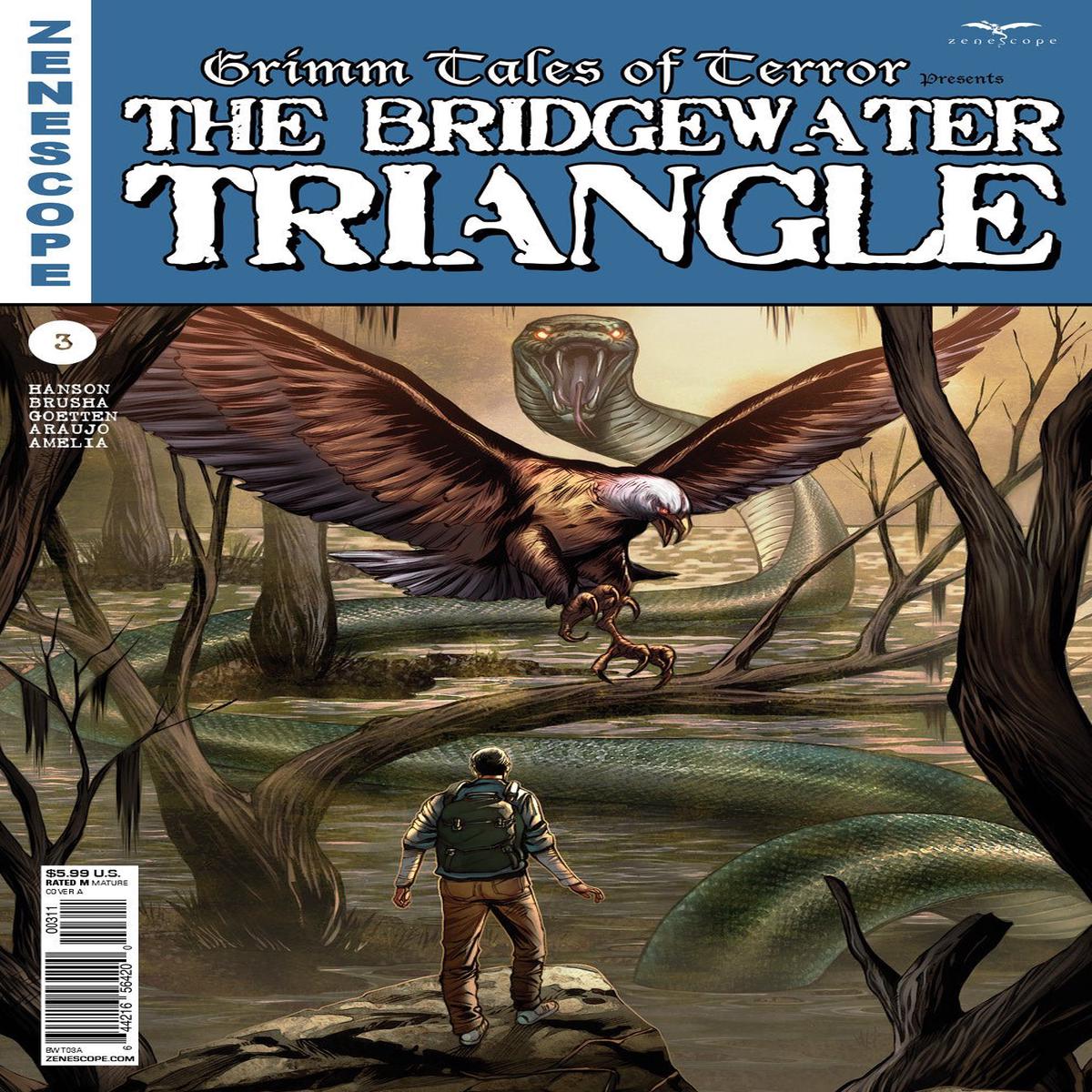 Bridgewater Triangle #3