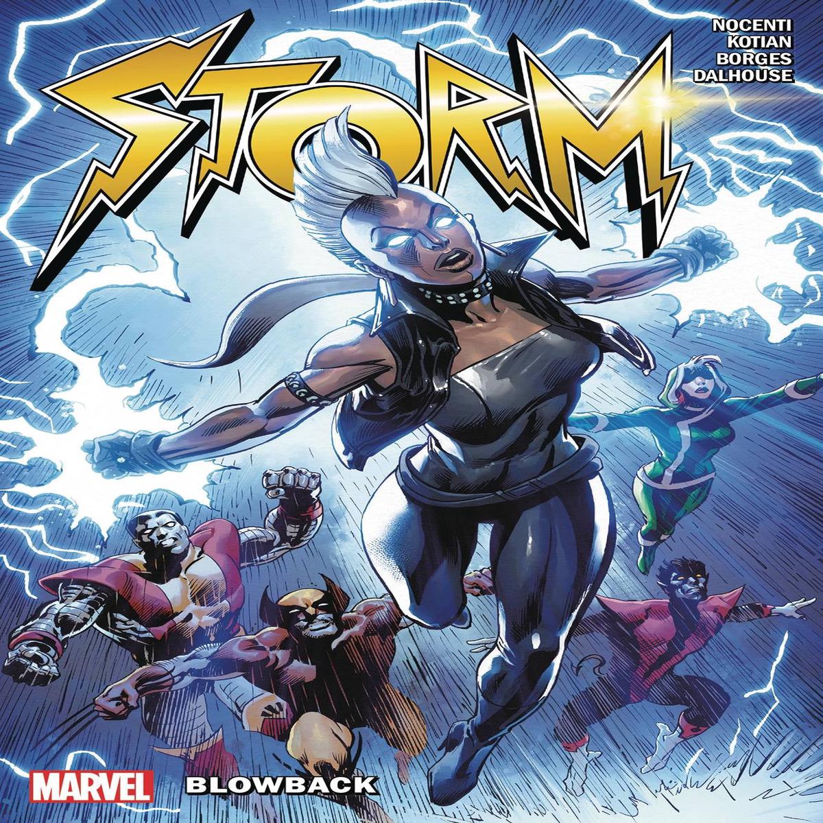 STORM BLOWBACK